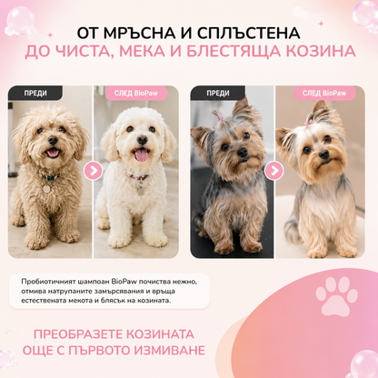 Пробиотичен шампоан